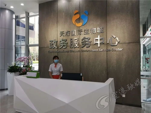 1號(hào)1窗1網(wǎng) 辦事省心更快捷 就在3天后