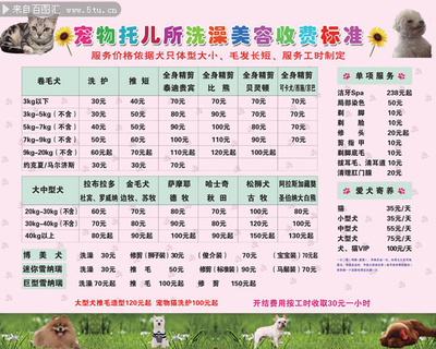 寵物店美容價目表圖片
